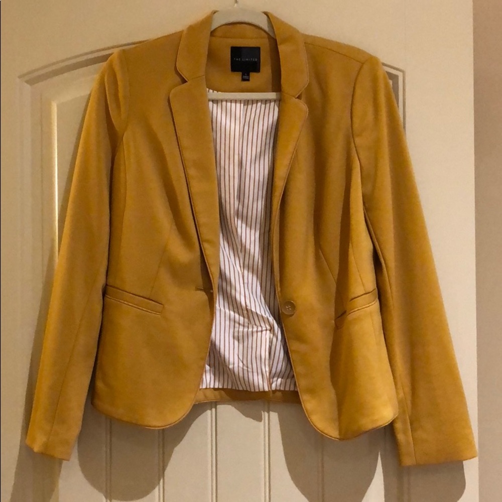 The Limited Blazer